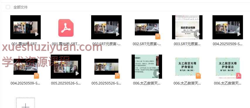 杨飞鸿《SRT元辰宫》执业导师课程视频+课件Y插图