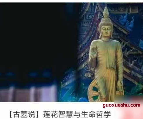【古墓说】莲花智慧与生命哲学68集视频插图