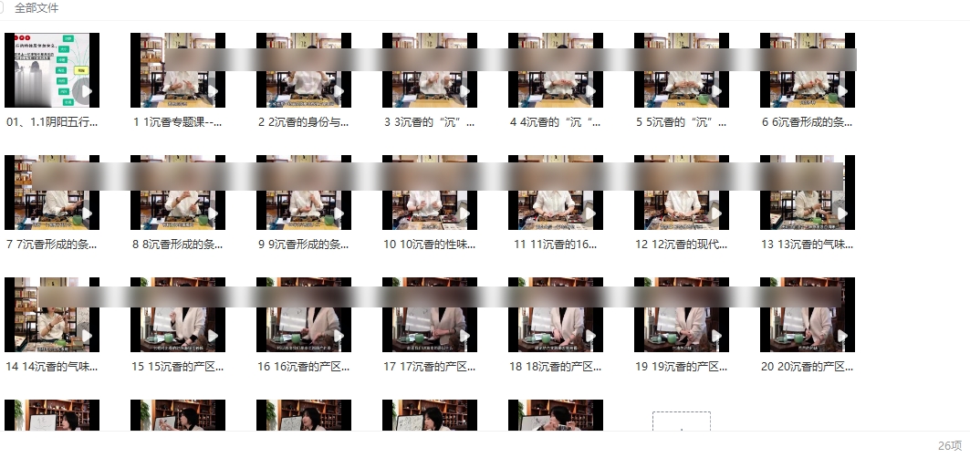 251026黄珊珊沉香专题研修班(随堂录课)25节系统课Y插图 251026黄珊珊沉香专题研修班(随堂录课)25节系统课Y插图