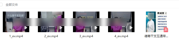 251035 夏光明弟子德蒋《干支互通带象秘法精解》视频4集+文档Y插图 251035 夏光明弟子德蒋《干支互通带象秘法精解》视频4集+文档Y插图