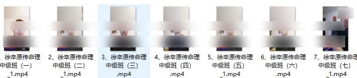 251061 徐辛《原传命理中级班》7集视频,约14小时 Y插图1 251061 徐辛《原传命理中级班》7集视频,约14小时 Y插图1