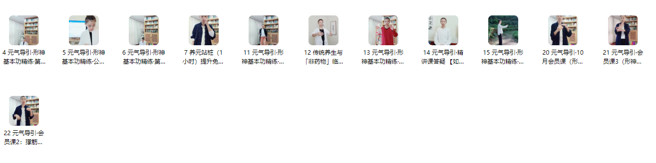 251087 元气导引·形神筑基精讲24集视频Y插图 251087 元气导引·形神筑基精讲24集视频Y插图