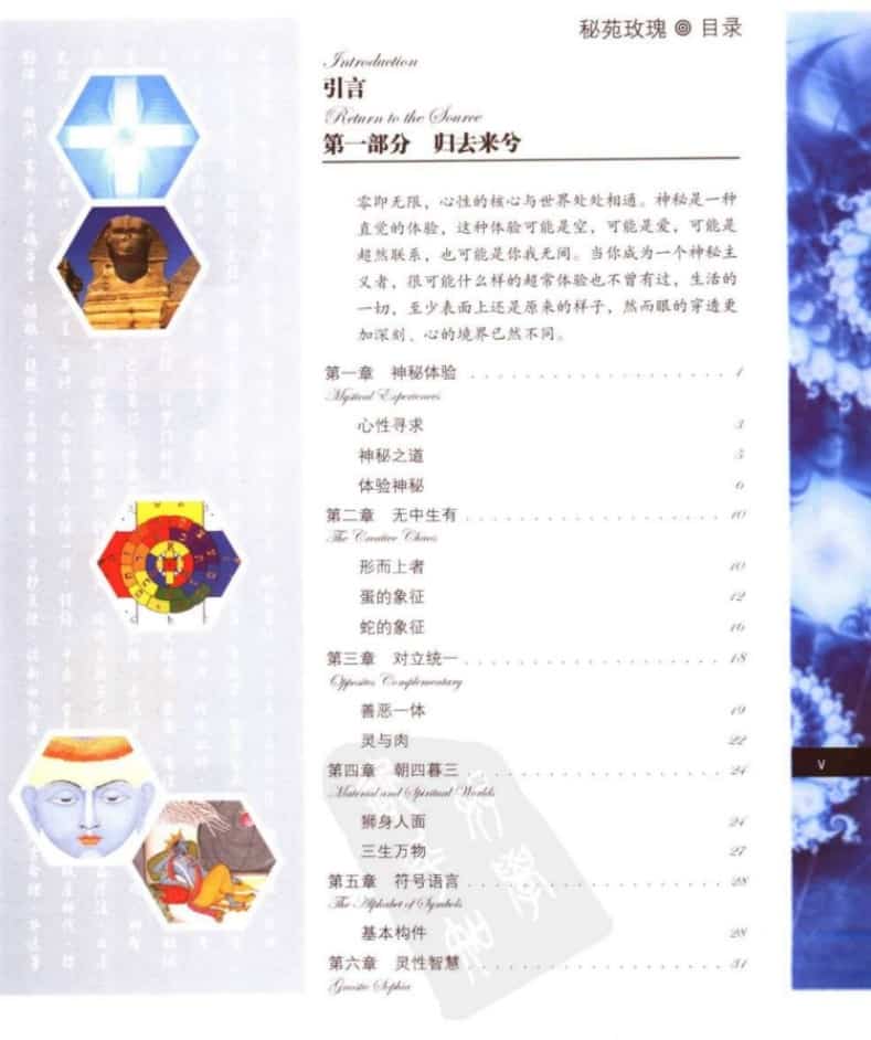 秘苑玫瑰 魔法书插图2