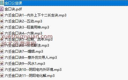 金口诀李林升【11个金口诀音频+5个大六壬音频+资料】插图