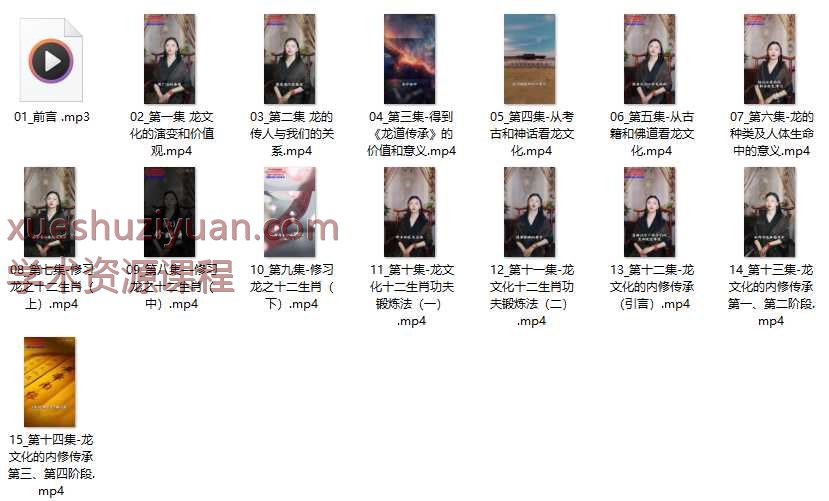 中华龙文化《龙道传承》15集Y插图