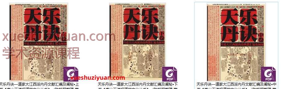 陈毓照《天乐丹诀丹道大江西派内功典籍汇编及阐秘》上中下3卷 pdf 电子版Y插图
