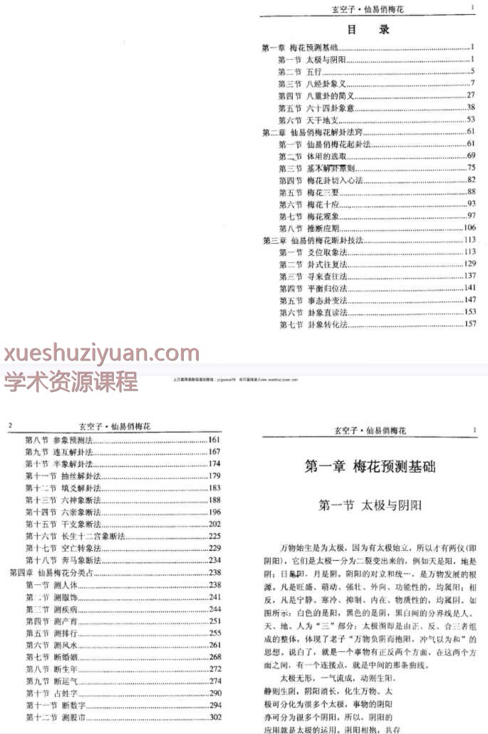25年梁丰《仙易俏梅花》 302页Y插图1