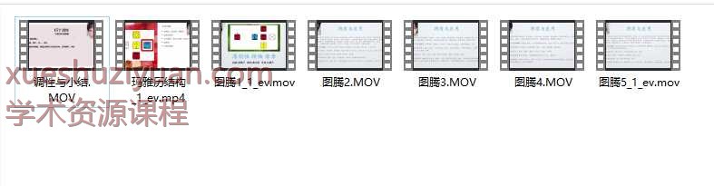 李奶奶 实用玛雅历课程7集Y插图