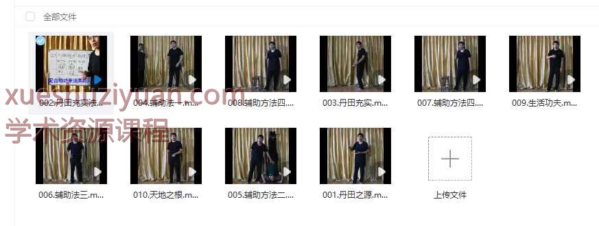 回光天心功 玄妙内家拳通用基础之丹田功视频10集Y插图