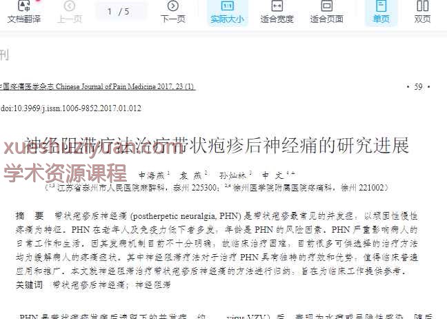 神经阻滞疗法治疗带状疱疹后神经痛的研究进展_申海燕插图