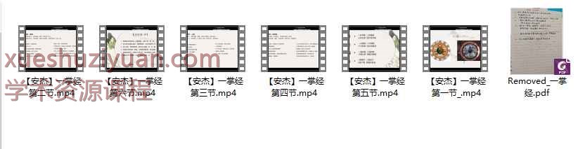 安杰一掌经视频+文档一套插图