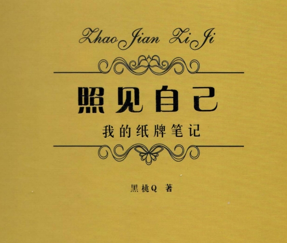 250702【通过扑克牌看自己未来】 收藏宝藏书籍Y 照见自己：我的纸牌笔记插图
