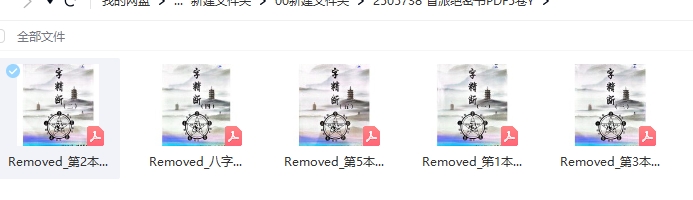 盲派绝密书PDF5卷Y插图