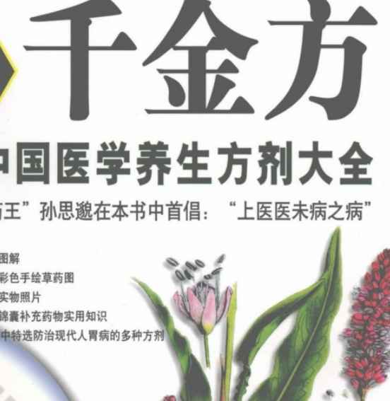 图解千金方.pdf插图