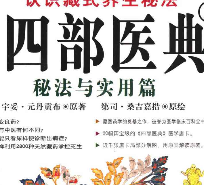 图解四部医典2-秘法与实用篇.pdf插图