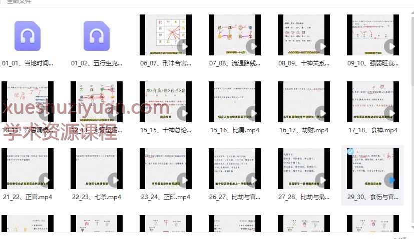 玄学芝芝第一套课程包八字视频103集Y插图