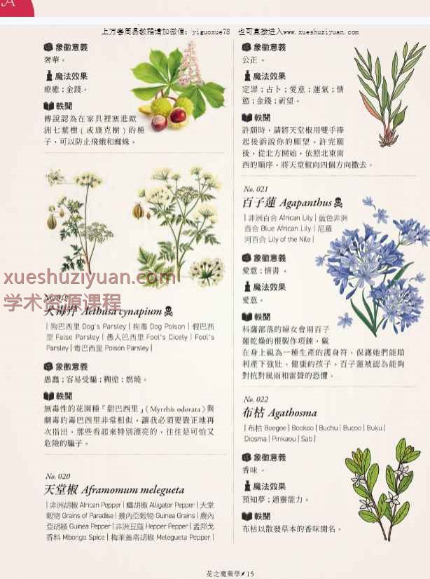 特蕾莎迪兹【花之魔药学：1001种花卉象征意义、魔法效果】繁体彩色扫描.pdf插图1